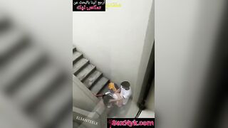 نيك في بير السلم الواد ماسك طيز بنت ملبنايه هريها نيك