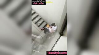 نيك في بير السلم الواد ماسك طيز بنت ملبنايه هريها نيك