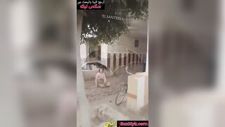 سكس شراميط مصري - بنت فاجرة تقلع ملط للجيران في وسط الشارع